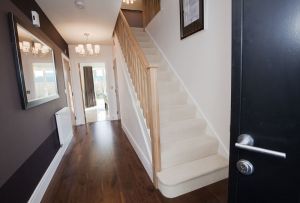 chestnut shadwell 13 sm.jpg
